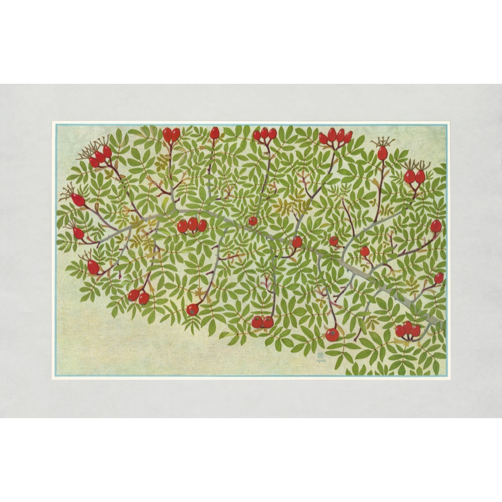 Autumn Leaves Prints