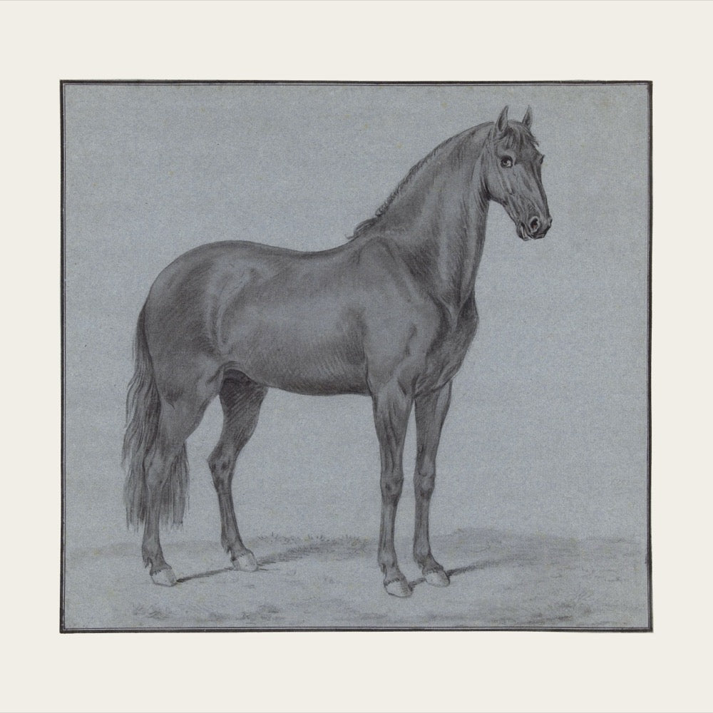 Equine Study in Blue — Vintage Horse Portrait Art Print