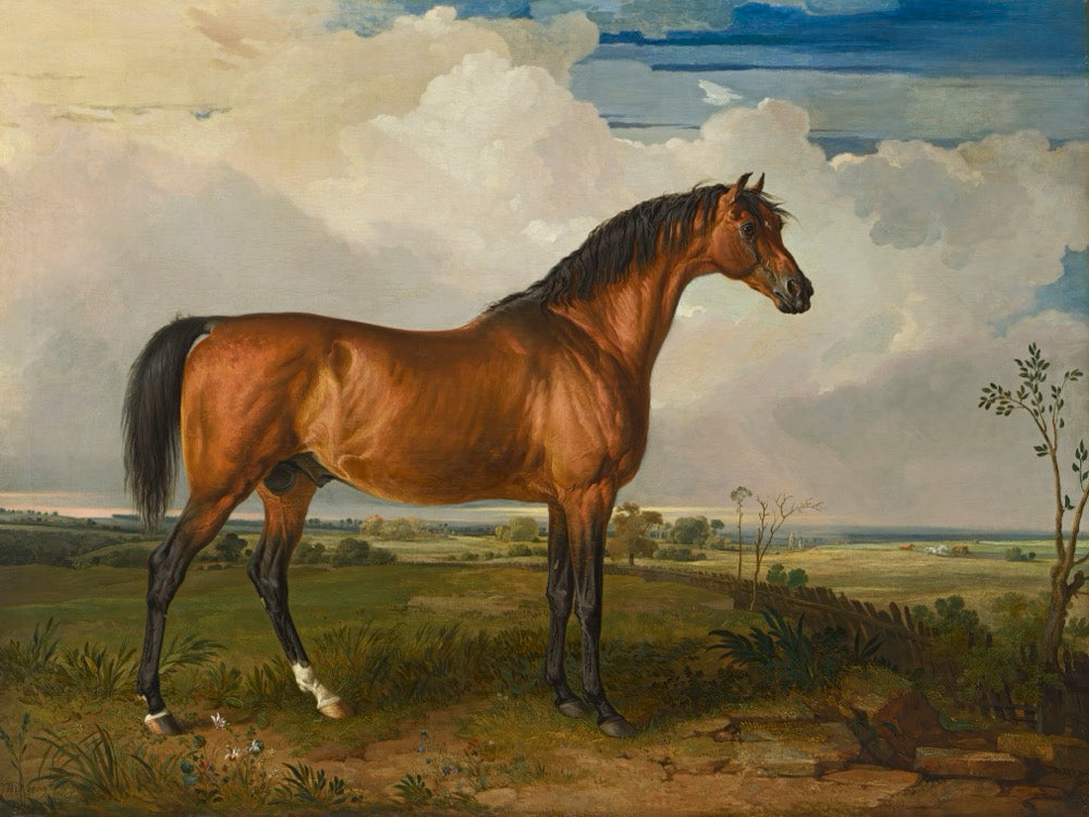 Painting of a brown horse standing in a field with a cloudy sky.