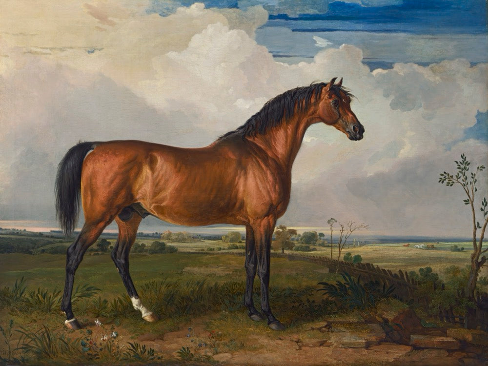 Painting of a brown horse standing in a field with a cloudy sky.