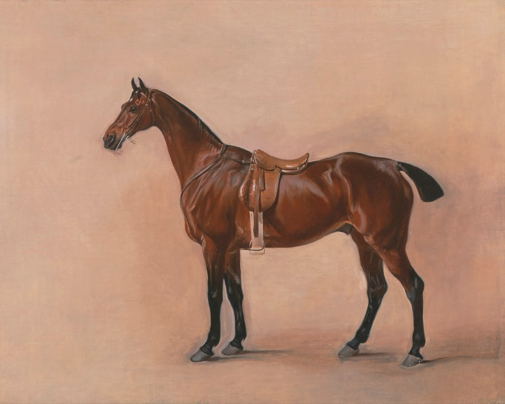 Equestrian Estates 3 — 19th-Century English Horse Portrait