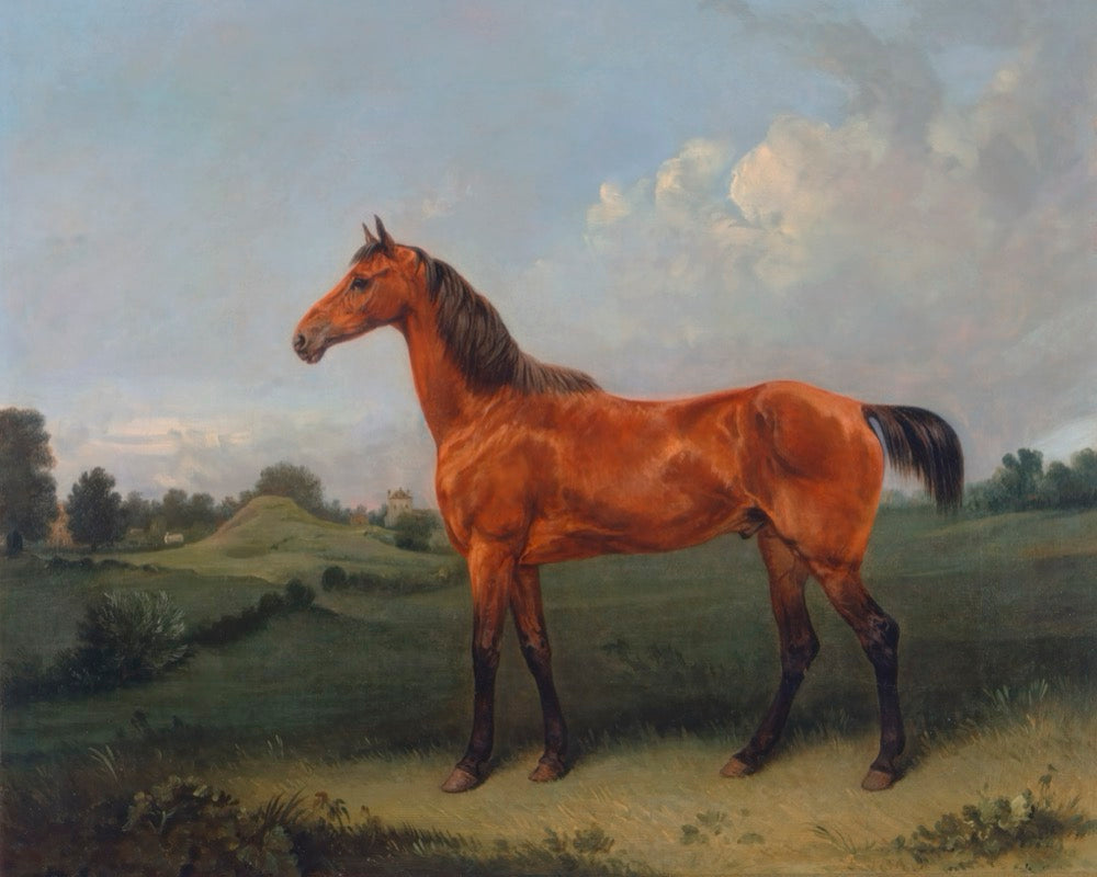 Painting of a brown horse standing in a grassy field with trees and a castle in the distance.