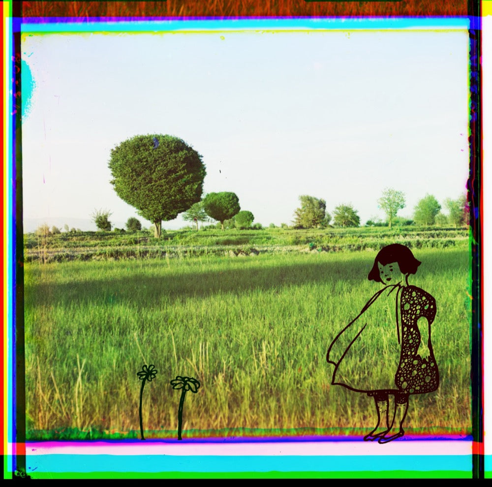 ◆ Grass