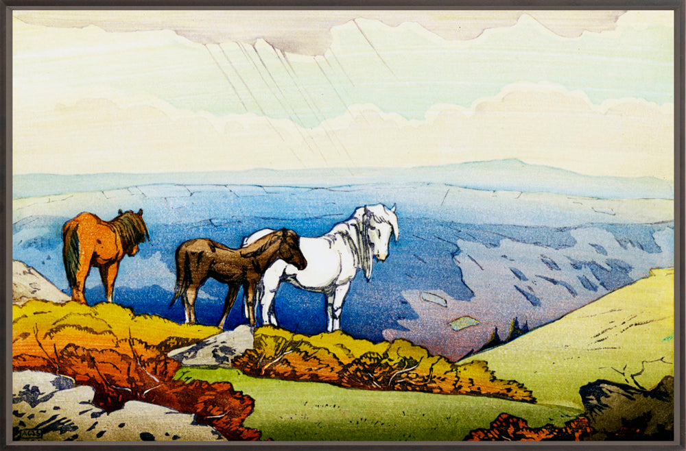 ◆ Ponies At Dartmoor