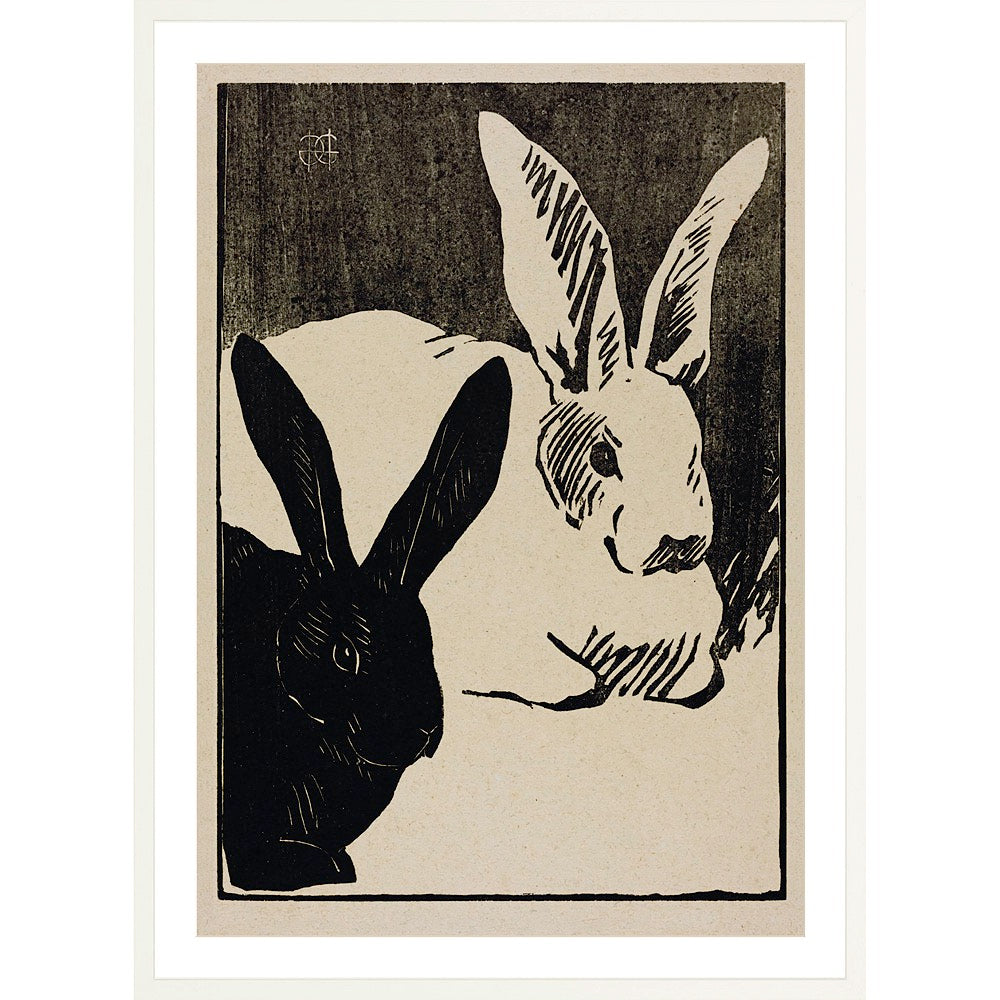 Rabbits