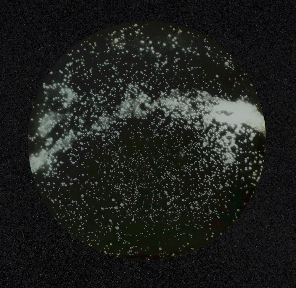 Sermons in Light — Vintage Celestial Stargazing Square Prints