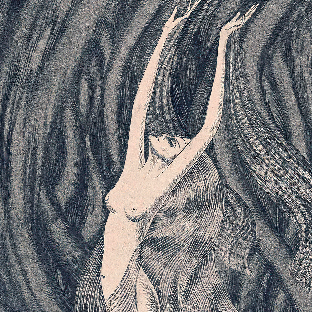 ◇ The Spirit Of The Wind