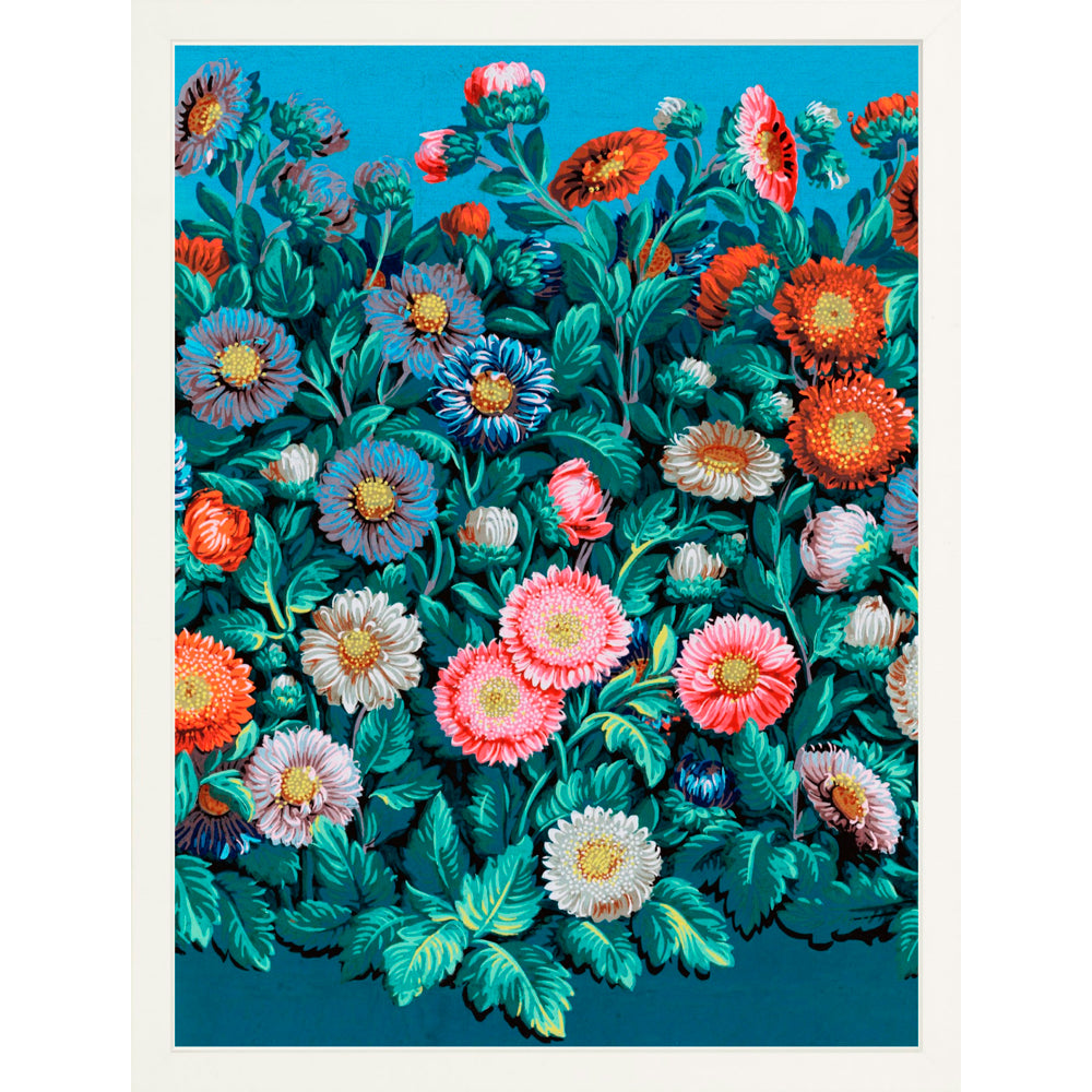 ◆ Symphony Of Asters