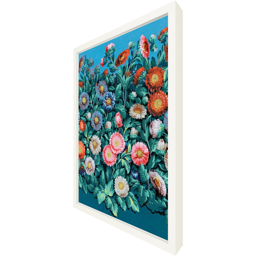 ◆ Symphony Of Asters