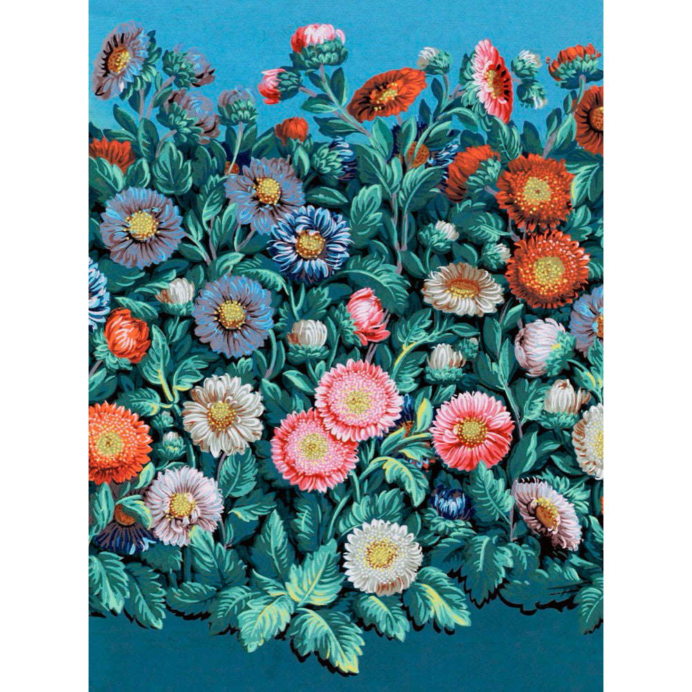 ◇ Symphony Of Asters