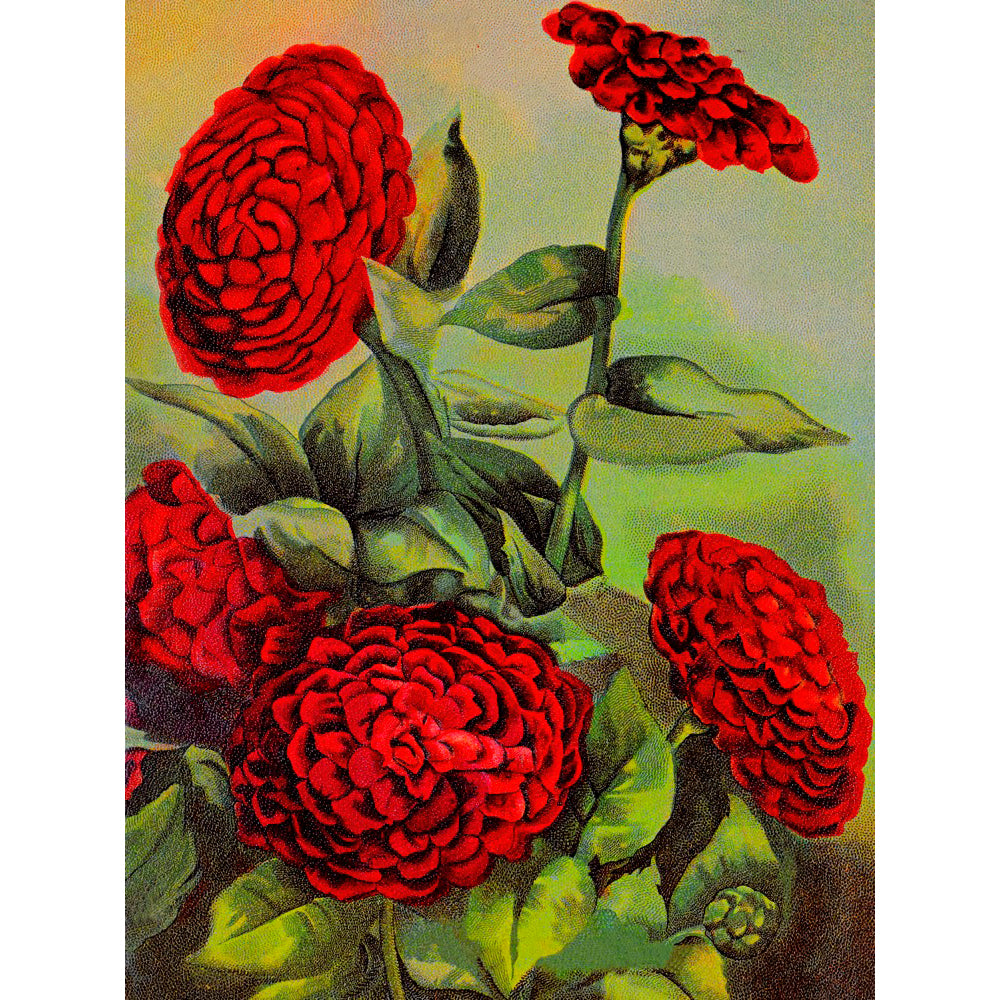 ◇ Vintage Floral Minis