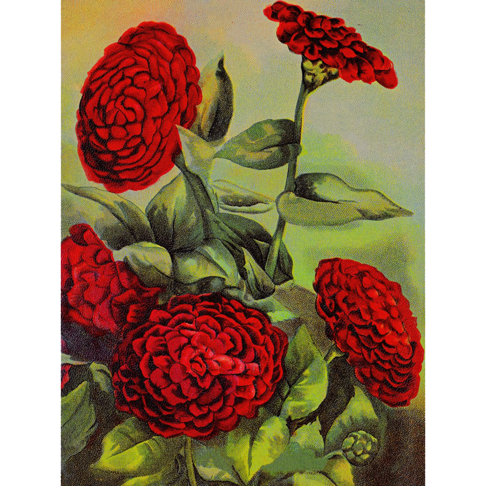 Vintage Floral Minis