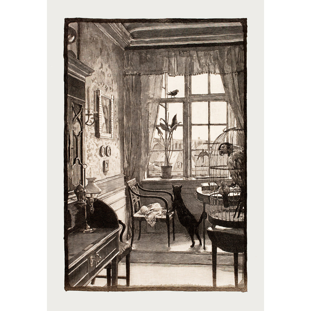 The Open Window