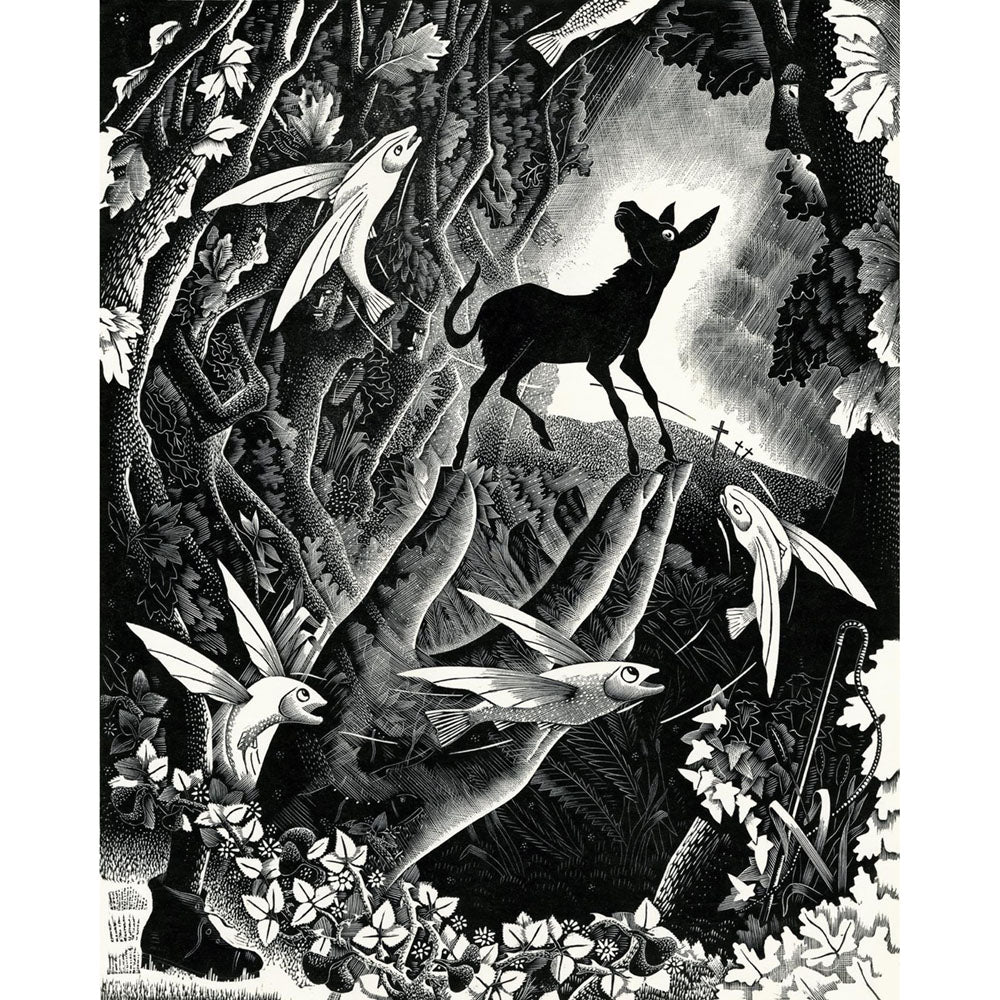 ◆ The Donkey