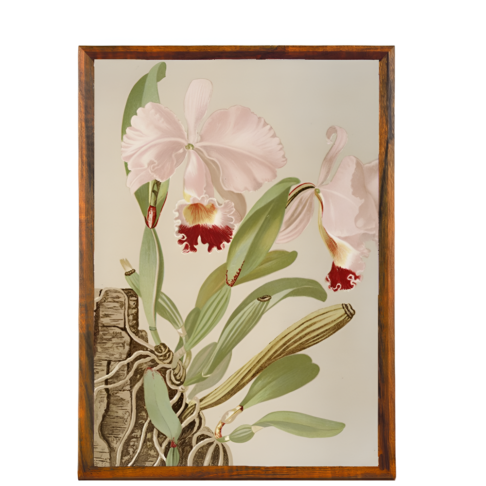 Organic Wood Hues Frame