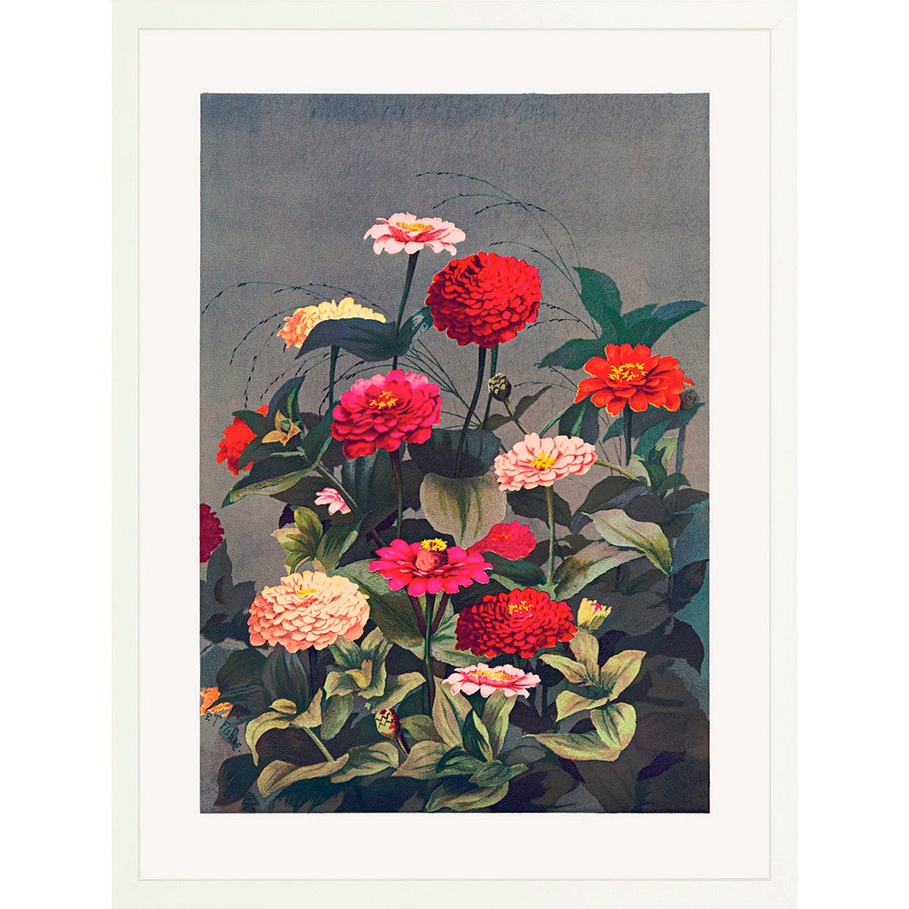 Prismatic Zinnias