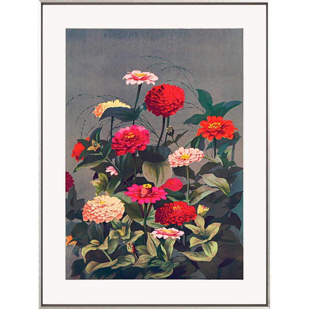 Prismatic Zinnias