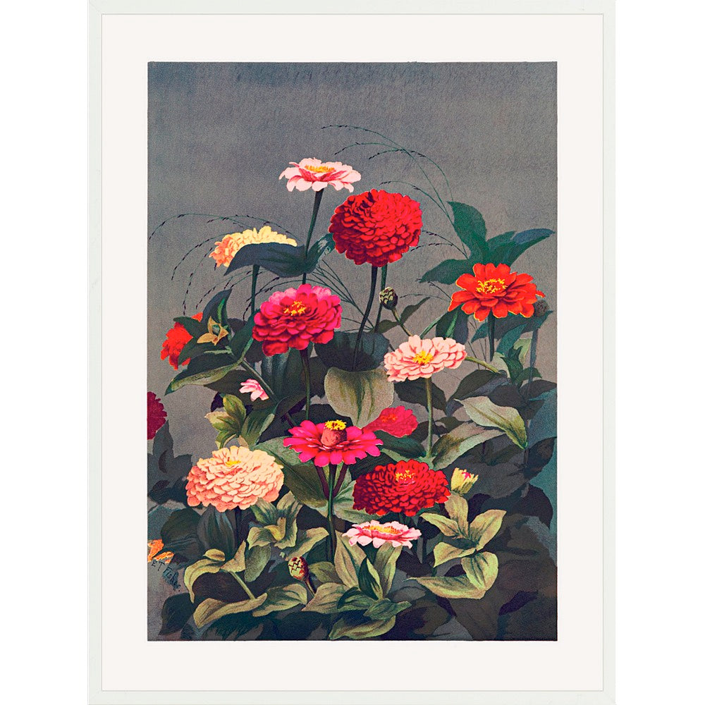 Prismatic Zinnias