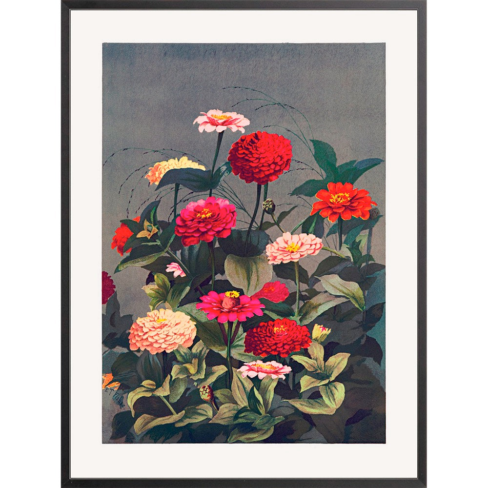Prismatic Zinnias