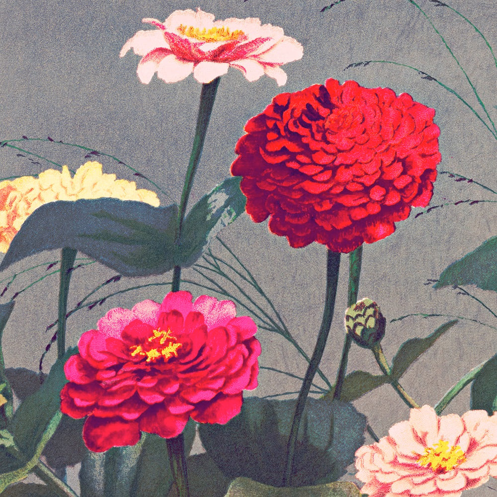 Prismatic Zinnias