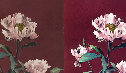 Our Prints Aren’t All $10—and Here’s Why