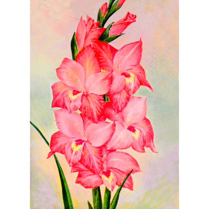 Vintage Floral Minis