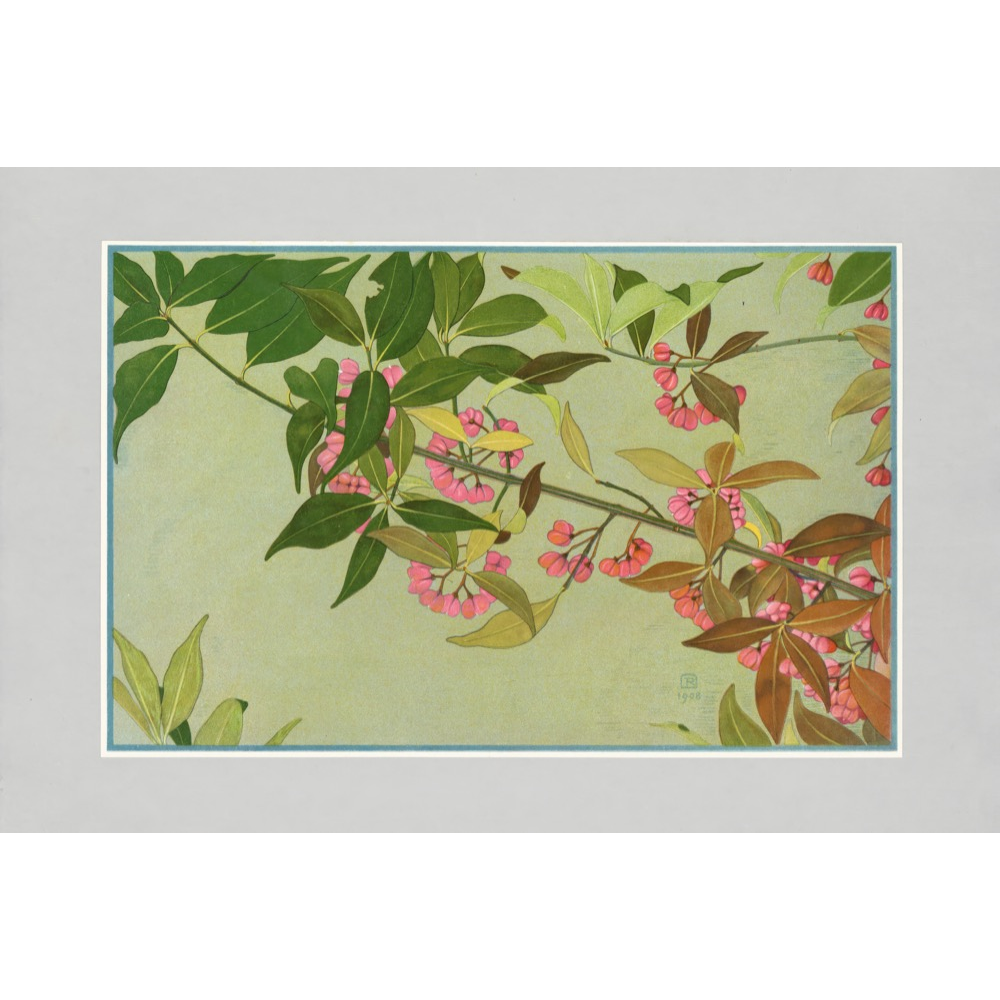 Autumn Leaves Prints