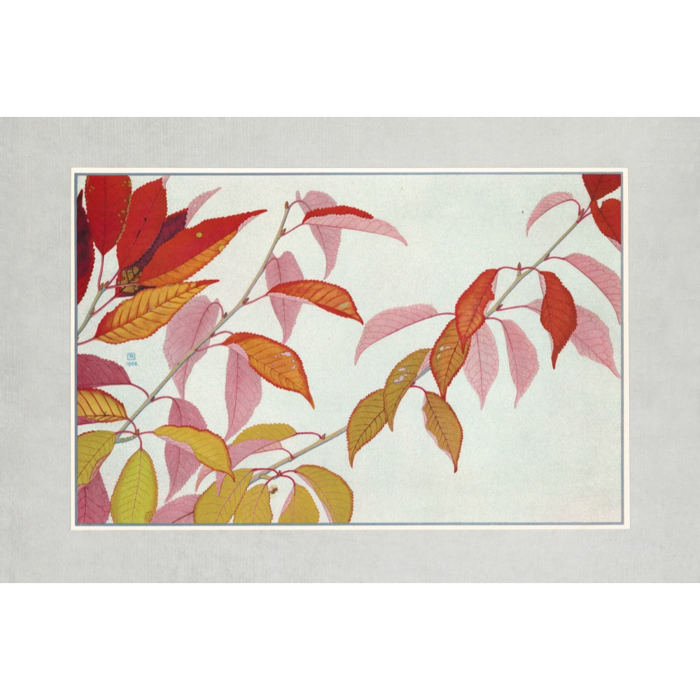 Autumn Leaves Prints