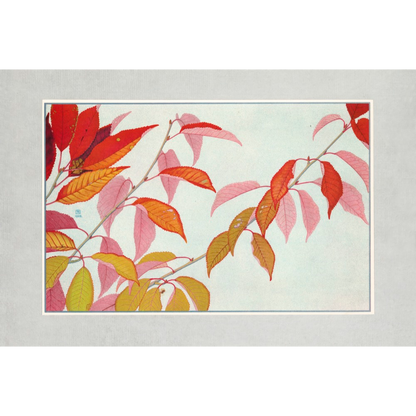 Autumn Leaves Prints