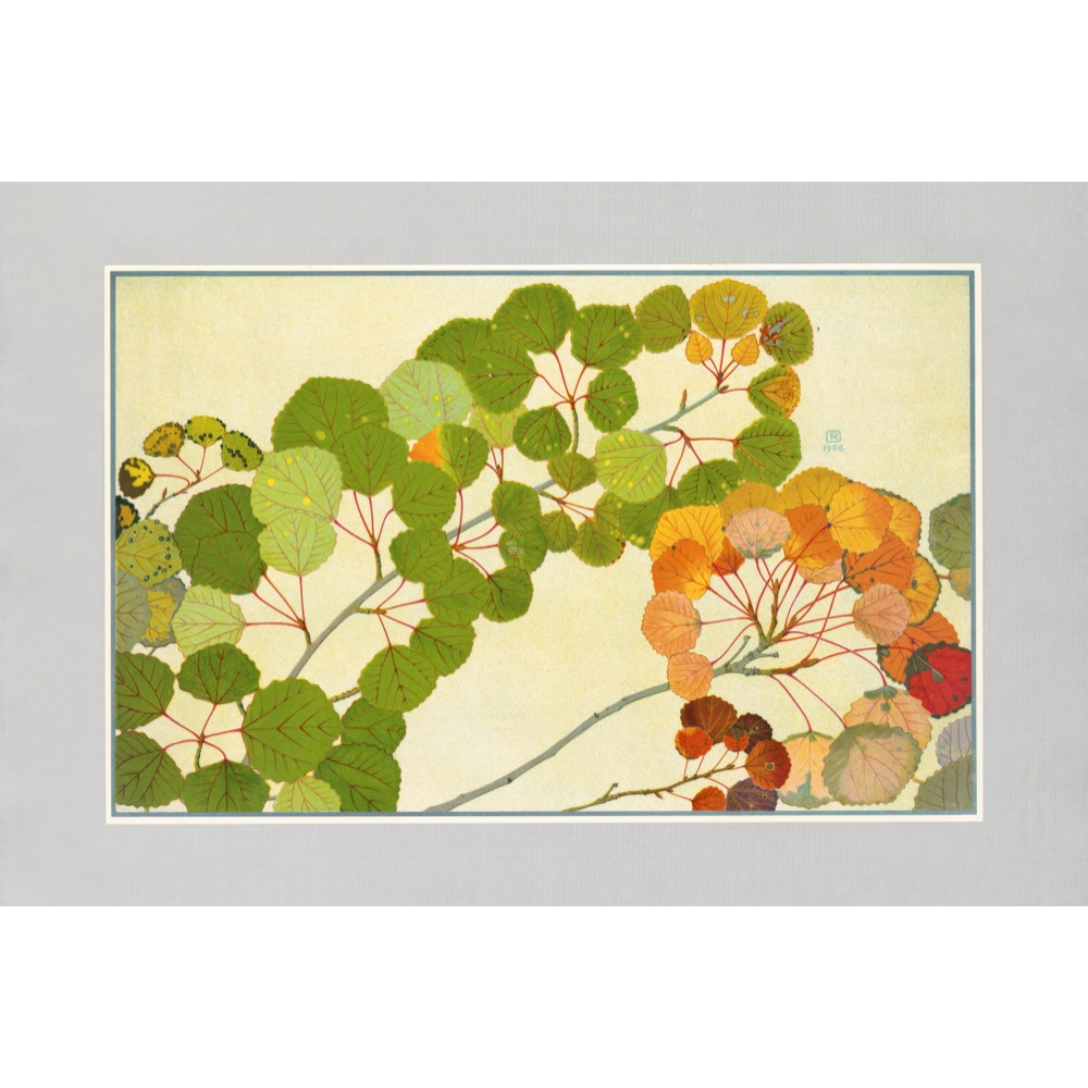 Autumn Leaves Prints