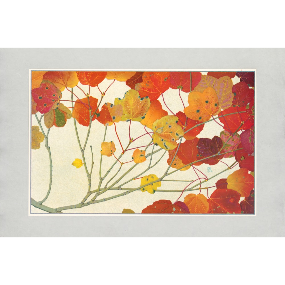 Autumn Leaves Prints