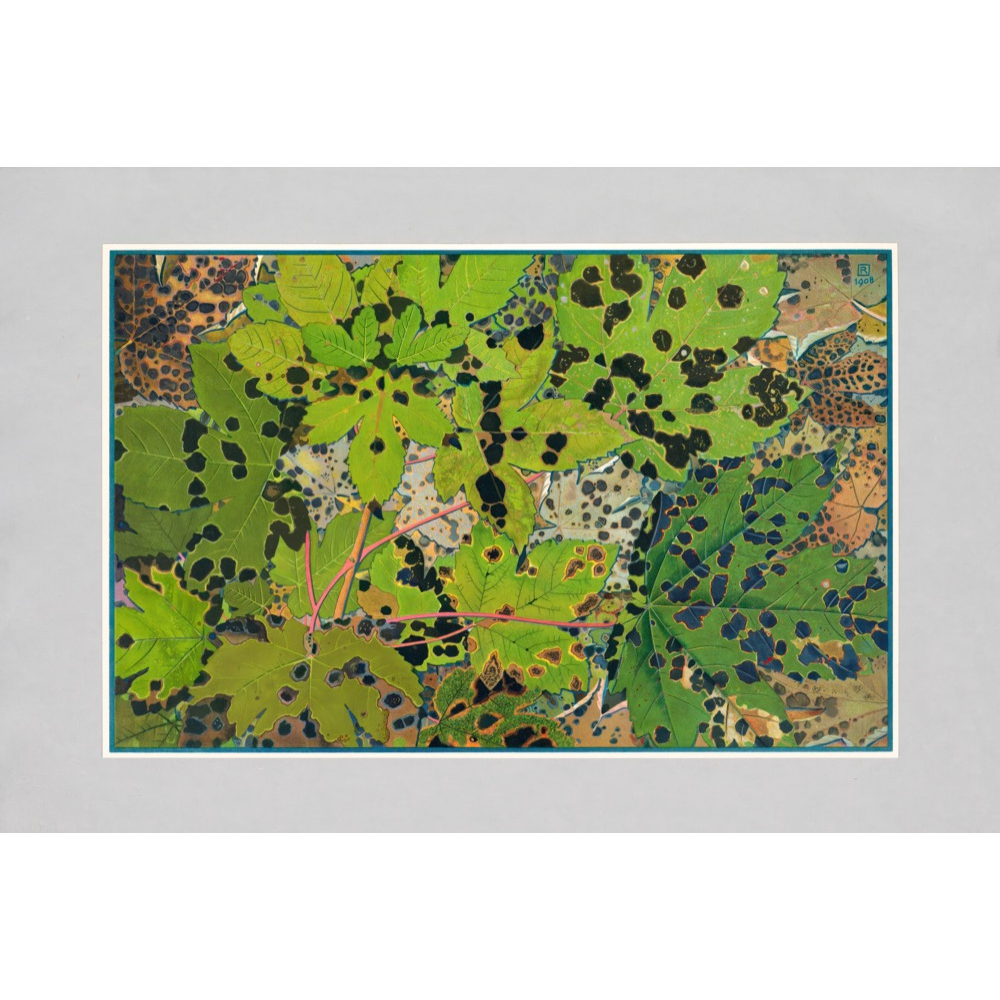Autumn Leaves Prints
