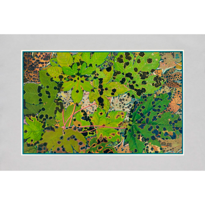 Autumn Leaves Prints