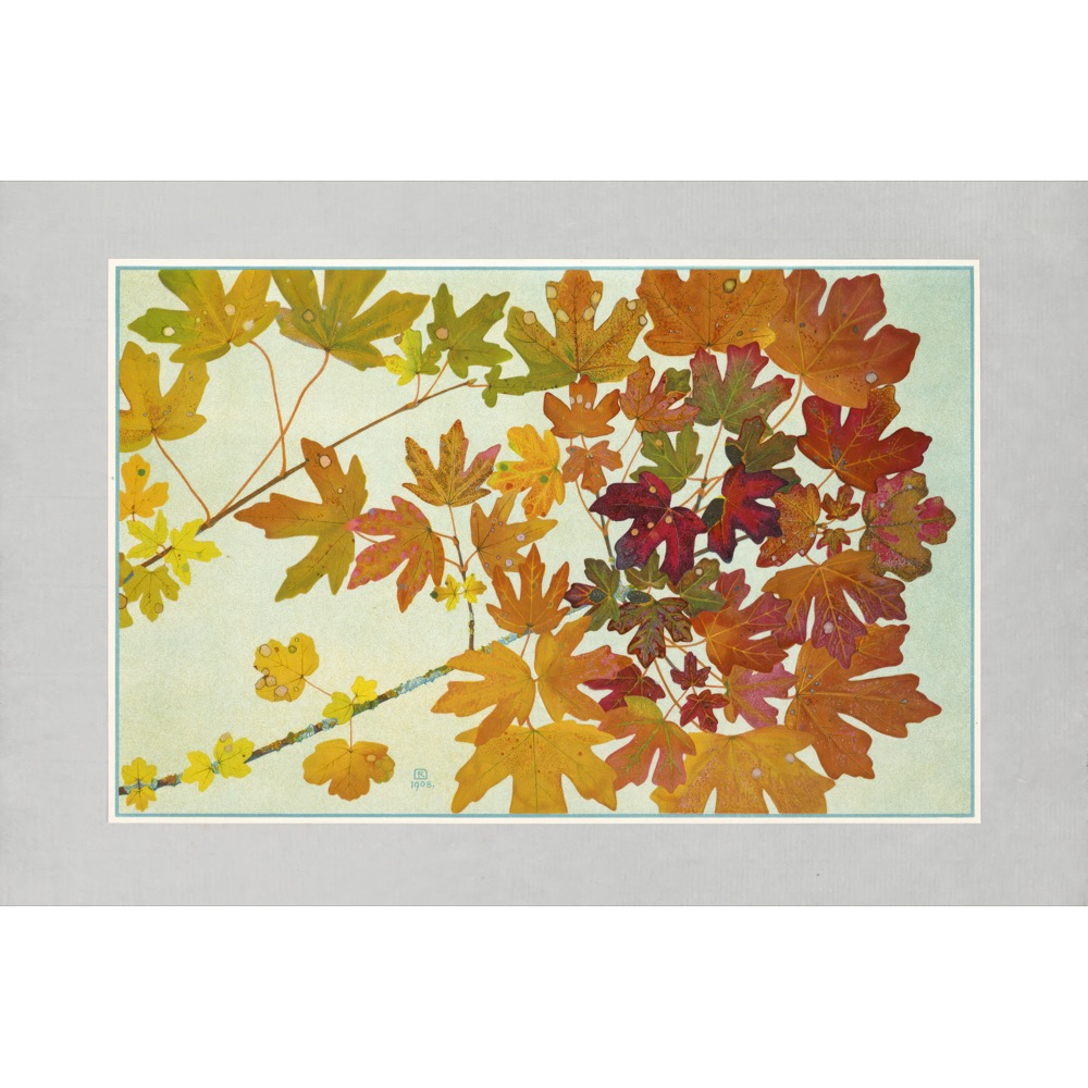 Autumn Leaves Prints