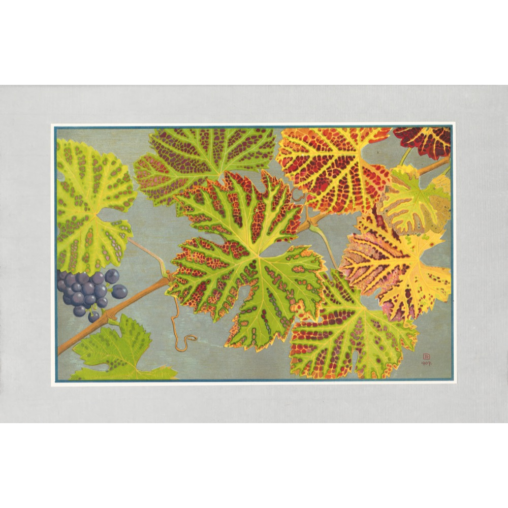 Autumn Leaves Prints