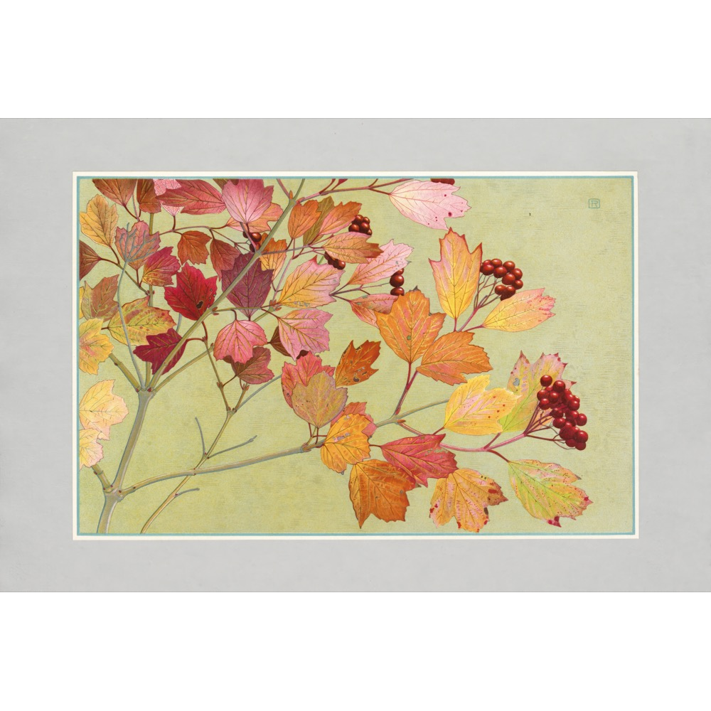 Autumn Leaves Prints