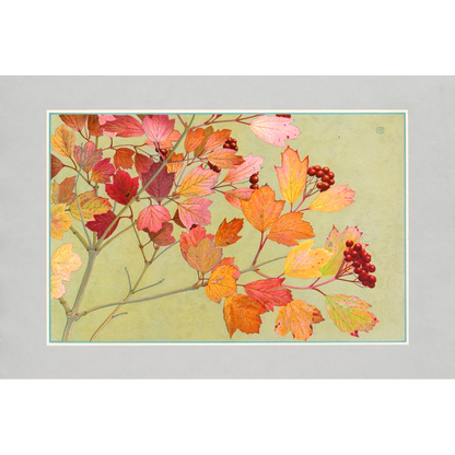 Autumn Leaves Prints