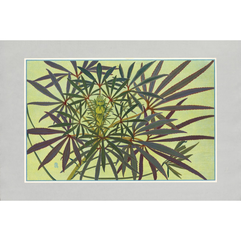 Autumn Leaves Prints