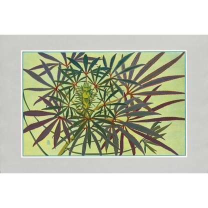 Autumn Leaves Prints