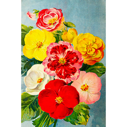 ◇ Vintage Floral Minis