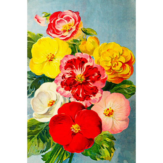 ◇ Vintage Floral Minis
