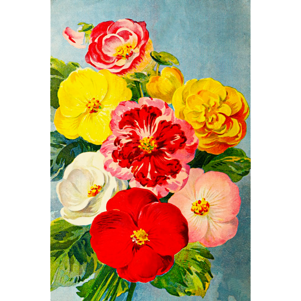 Vintage Floral Minis