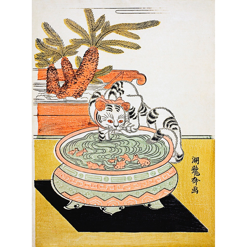 Cat Pawing Fish