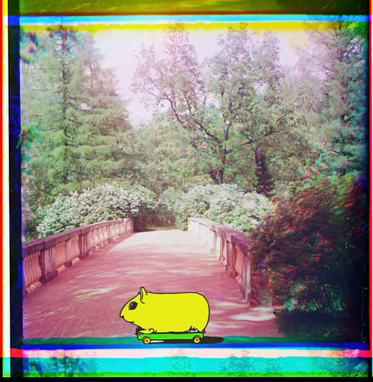 Crossing
