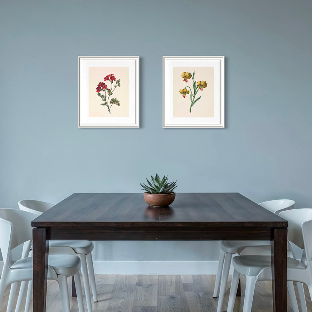 ◆ Dutch Botanical Studies, c. 1830 - Set of Four