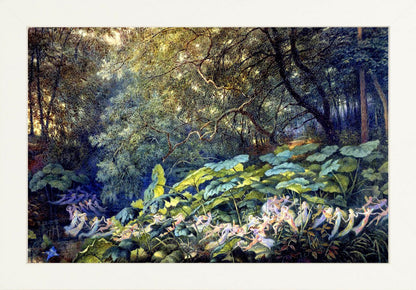 Fairy Revel in the Glade