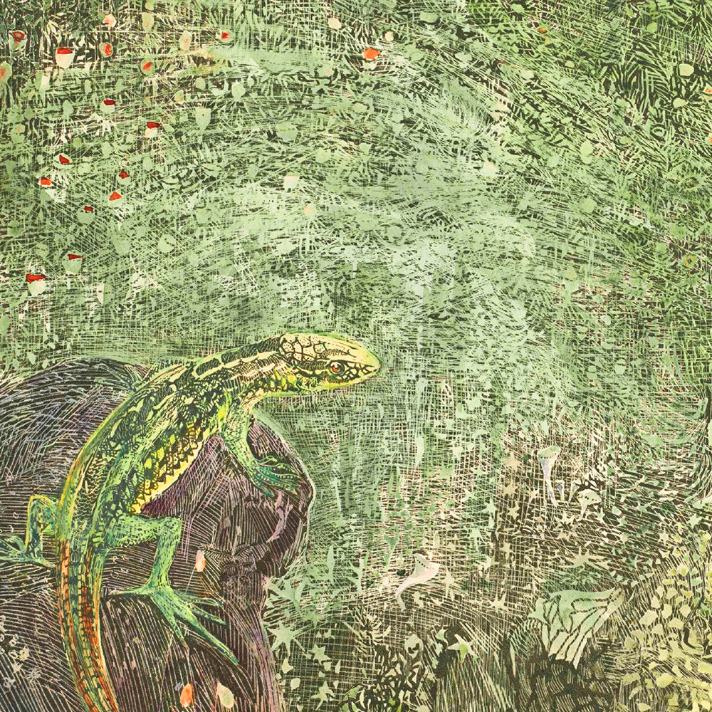 Lizard on a Stone