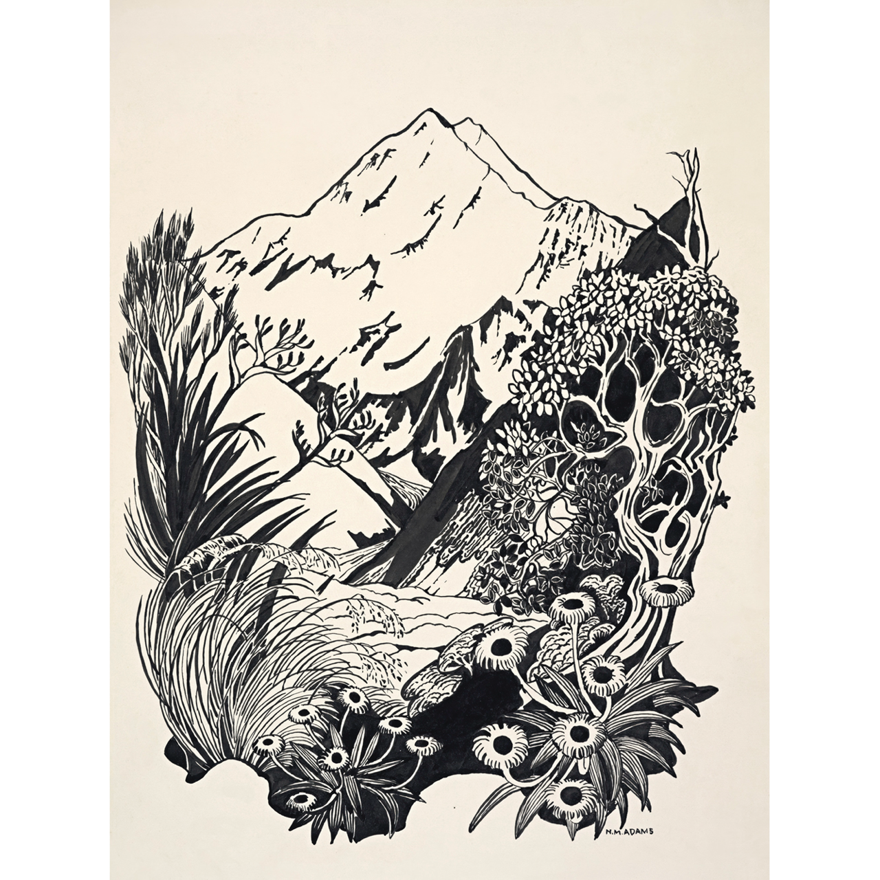 Mount Cook, New Zealand