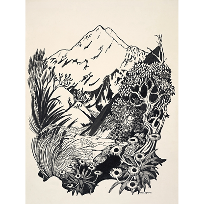 Mount Cook, New Zealand