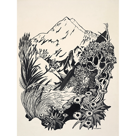 Mount Cook, New Zealand